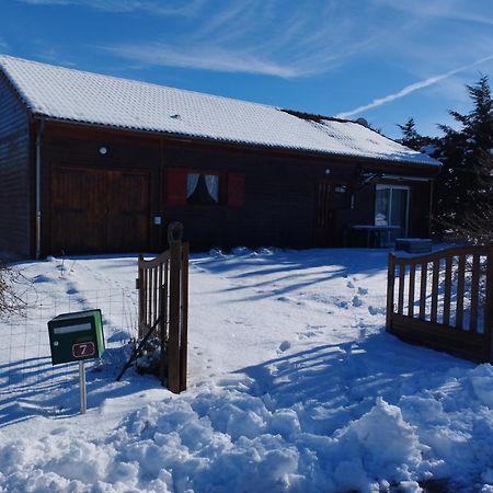 Chalet Les Adrets Du Sancy Saint-Diery エクステリア 写真