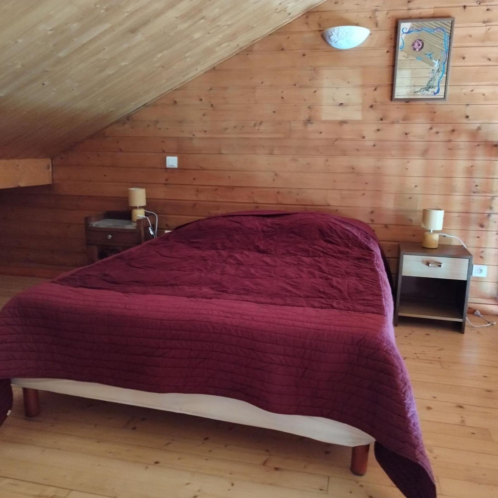 Chalet Les Adrets Du Sancy Saint-Diery エクステリア 写真