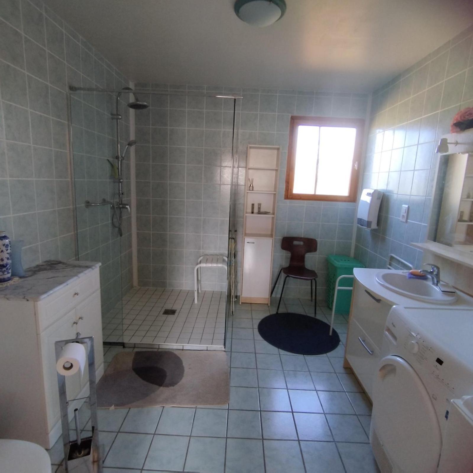 Chalet Les Adrets Du Sancy Saint-Diery エクステリア 写真