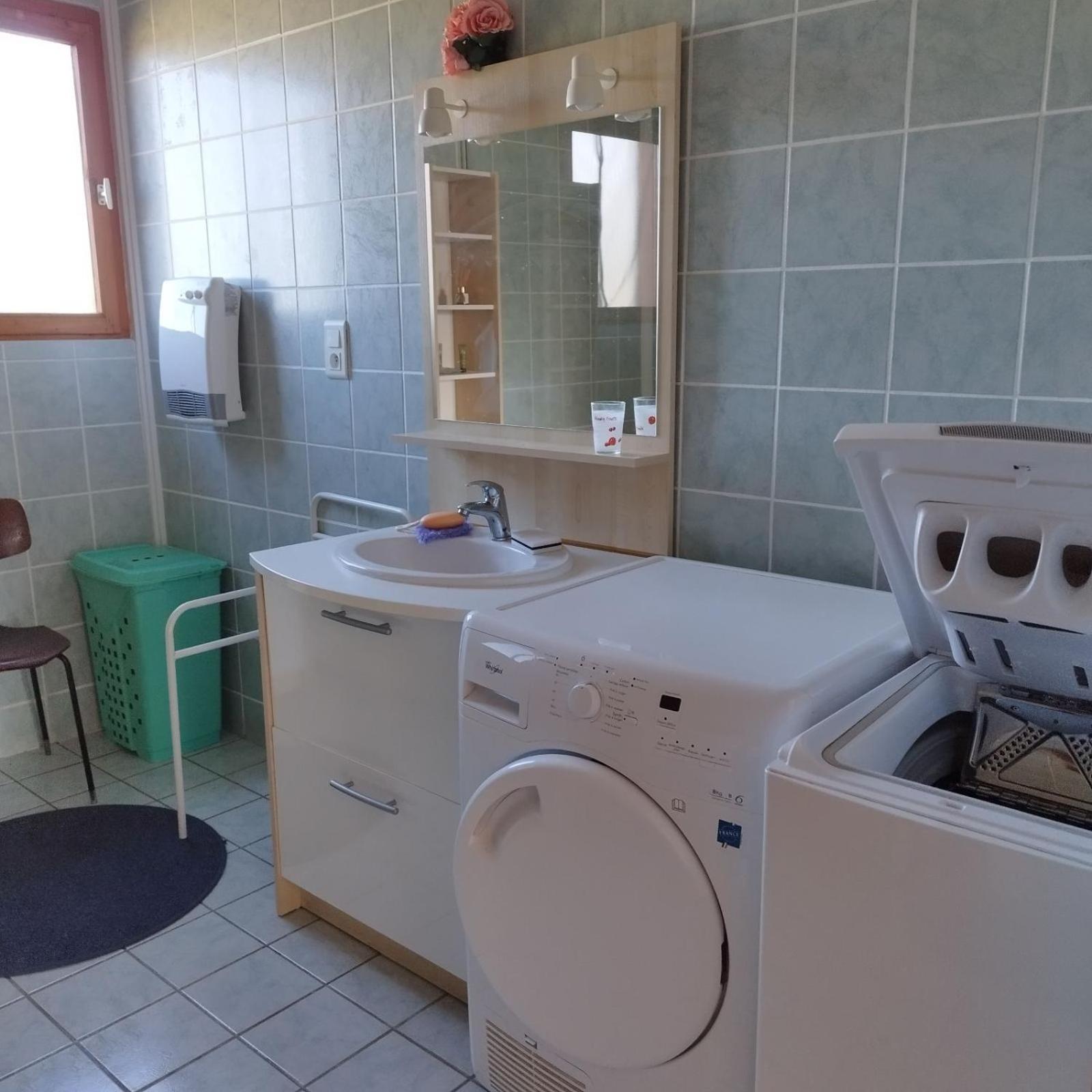 Chalet Les Adrets Du Sancy Saint-Diery エクステリア 写真